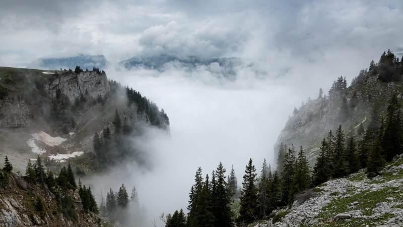 游戏下载平台的分发算法与曝光资源分配机制
